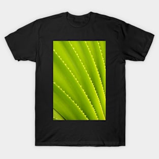 Spiky Plant T-Shirt